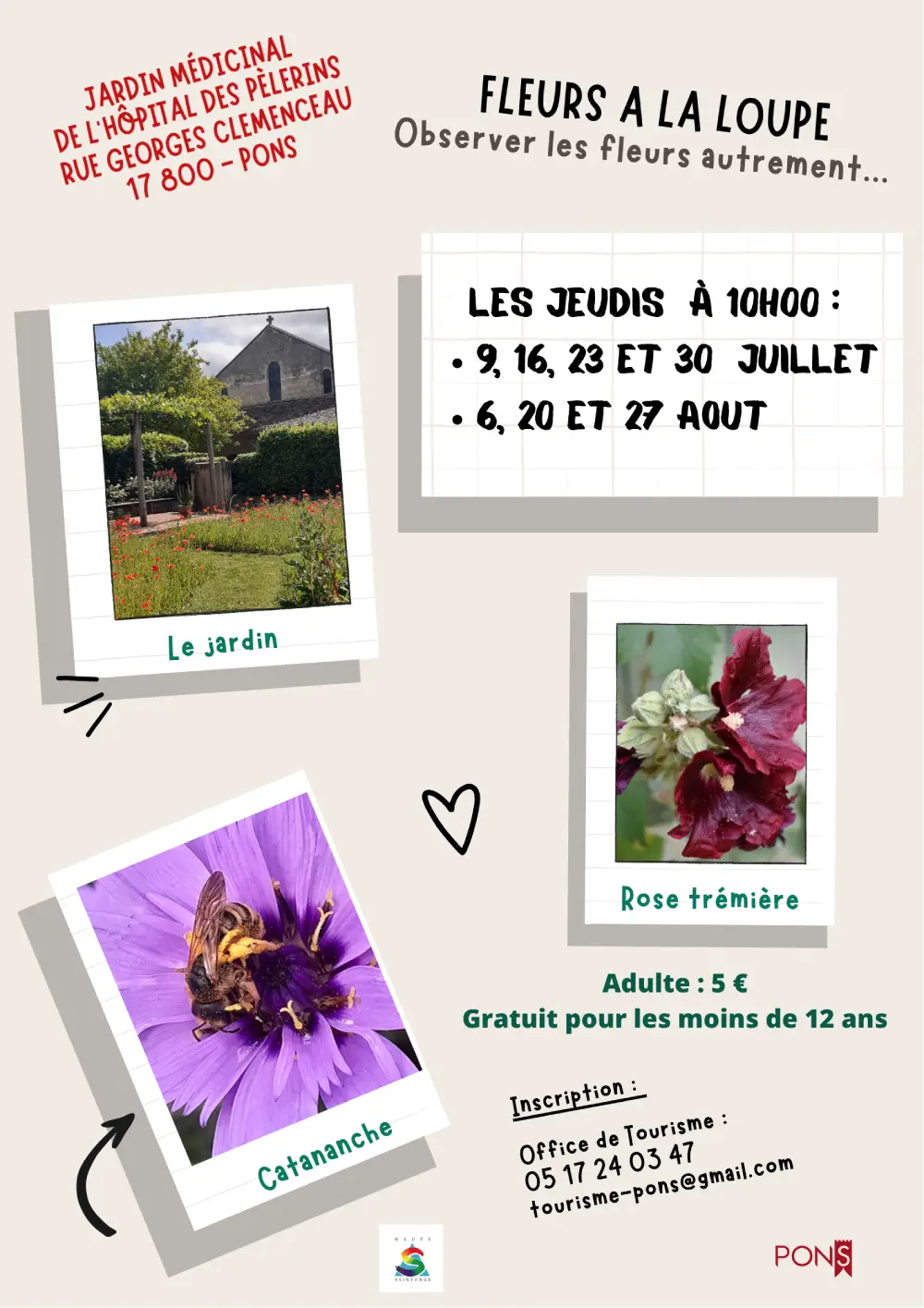 fleurs-a-la-loupe-jardin-medicinal-pons