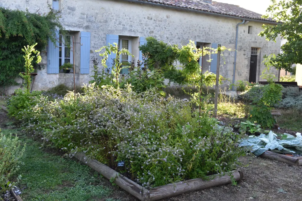 Jardin médicinal de Pons (2) Jardin médicinal de Pons