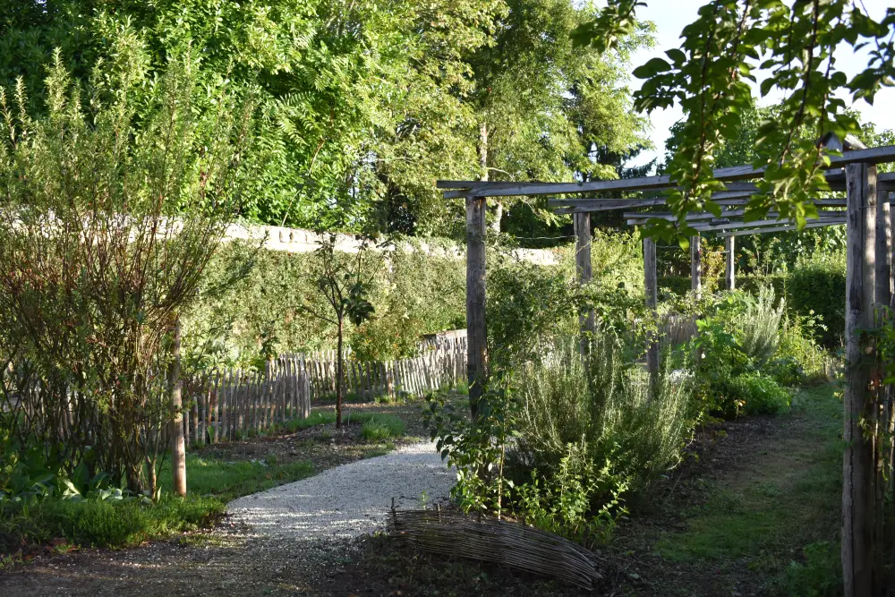 Jardin médicinal de Pons (7) Jardin médicinal de Pons