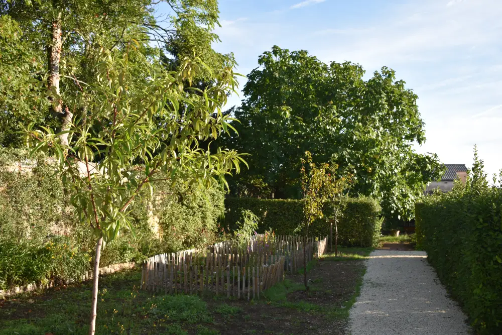 Jardin médicinal de Pons (9) Jardin médicinal de Pons